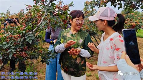 市融媒体中心：“天天有直播”昨日启动-嵊州新闻网