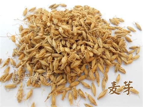 麦芽的功效与作用 大麦芽批发