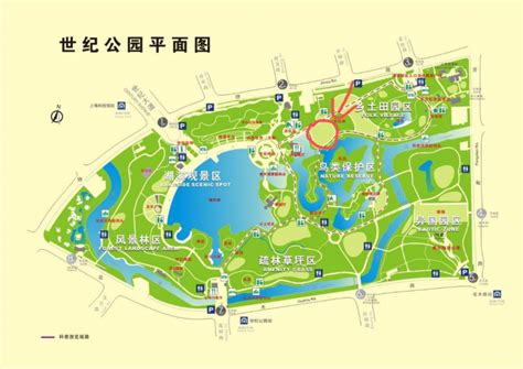 2024上海世纪公园游玩攻略-门票价格-景点信息_旅泊网