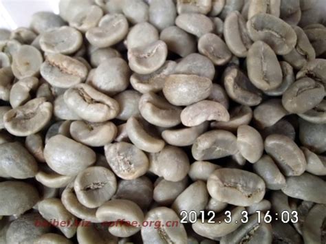 印度尼西亚咖啡豆湿刨法处理特点 黄金曼特宁咖啡干净口感的原因 中国咖啡网
