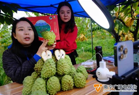 大陆菠萝产量惊到台湾主持人：你们自己就有凤梨啊！_荔枝网新闻