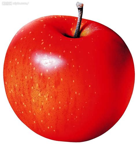 预测2019年红富士苹果价格行情走势 (红富士苹果价格查询详细)价格,产品报价-食品商务网