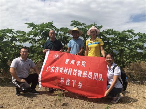 省农村科技特派员入驻下埔村，助力生态农业发展