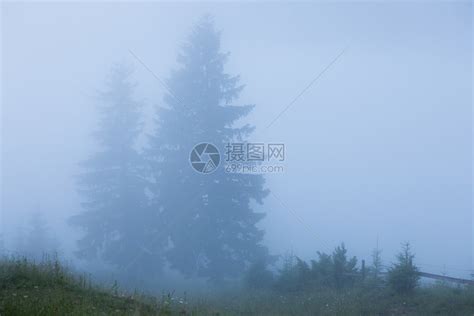 树林和田地之间在迷雾的清晨高清图片下载-正版图片507371634-摄图网