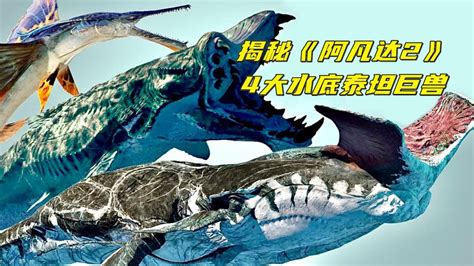 阿鲲图片