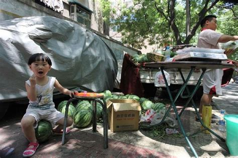 12个孩子暑假组团体验卖菜 12天赚了1500多元_海口网