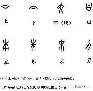 中华传统文化之汉字造字法_中考语文_上海中考网