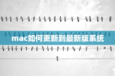 老版本mac如何升级系统10.15 mac系统升级在哪里-站长资讯网