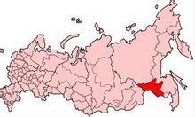 阿穆尔州为应对新冠疫情对居民和市场实施更加严格的限制 - 2020年3月30日, 俄罗斯卫星通讯社