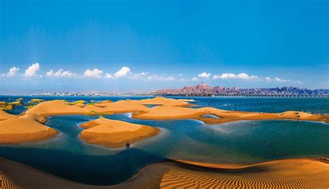 去沙漠看海怎么样？ 乌海文化旅游推介会在南京举行_新华报业网