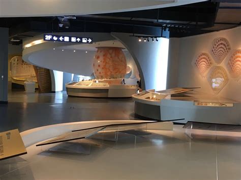 文化随行-最新动态丨古林古海岸遗迹博物馆推出线上科普系列活动：今天为您科普的是唐冠螺