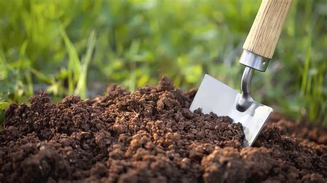 你知道土壤质地与土壤肥力的关系吗？_科普园地_土壤学会_山西省土壤肥料学会