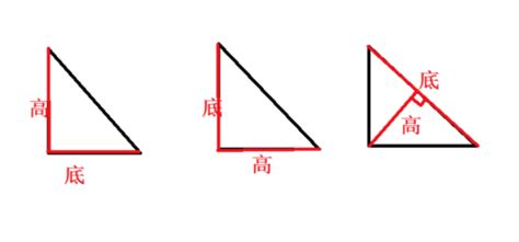 求直角三角形的三条高 要画出来-百度经验
