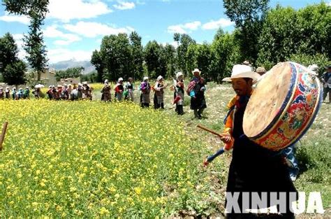 藏区干部次旺卓玛：驻村四年修六条致富路 惠及数千牧民乡亲——人民政协网