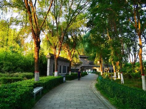 行走河南·读懂中国 | 鹤壁：在淇河看《诗经》里的汉字魅力 - 河南省文化和旅游厅