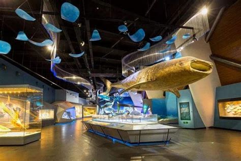 2022天津国家海洋博物馆门票预约及收费门票价格_旅泊网
