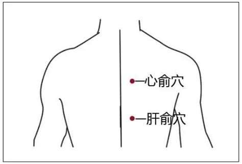 三伏贴穴位图图片