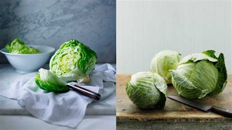 卷心菜和包菜的区别（怎样区分卷心菜和包菜） – 碳资讯