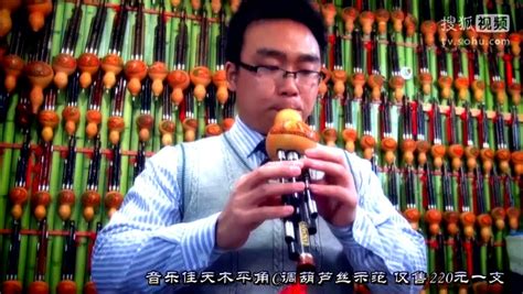 葫芦丝教学视频《欢乐颂 》演奏示范-原创视频-搜狐视频