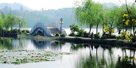 浙江杭州西湖湖西综合保护工程——浴鹄湾 - 风景名胜区 - 首家园林设计上市公司