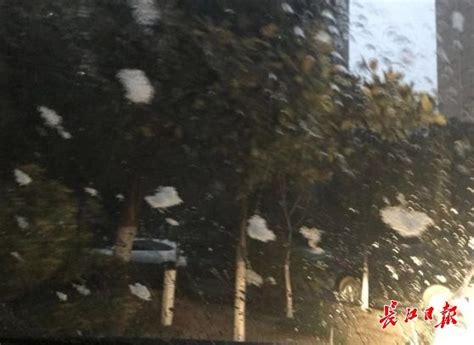 明天武汉在晴好中迎“霜降”，好天气将持续一周_武汉_新闻中心_长江网_cjn.cn