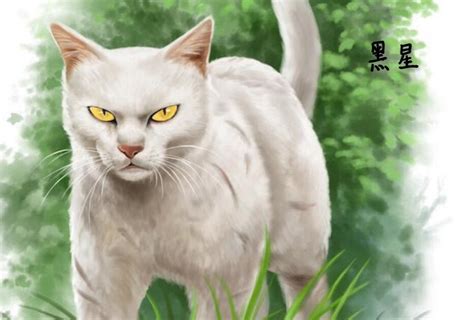 猫猫武士拟人好帅摄影师:simabssn图片