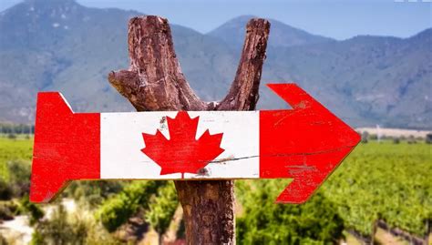 2021年加拿大移民项目如何选成功率才最高？