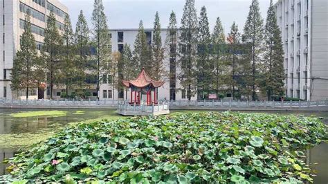 湖北师范大学 - 湖北省人民政府门户网站
