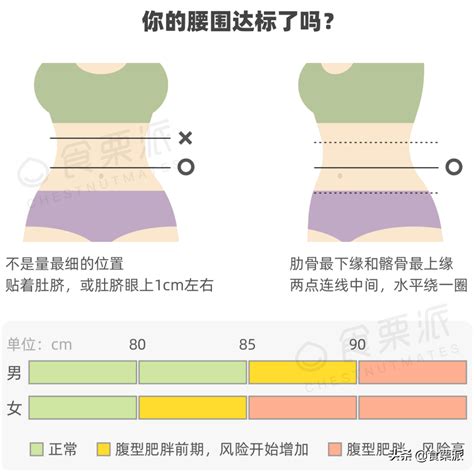 女性正常腰围对照表（女生标准腰围尺码表） - 科猫网