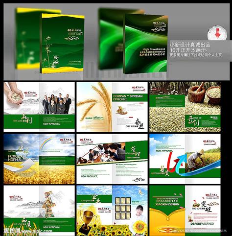 绿色生态农业招商农产品宣传PPT模板_PPT鱼模板网