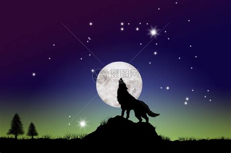 为什么狼总是对着月亮嚎叫？看完解开多年疑惑
