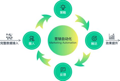 营销自动化工具_营销自动化系统_营销自动化软件 | 九枝兰