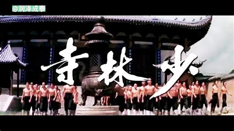 经典电影《少林搭棚大师》在少林寺搭一年竹棚，不料练成绝世高手