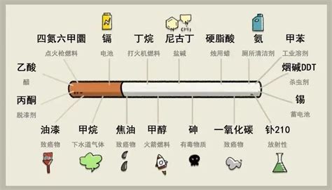 [2023年卫生健康宣传日]世界无烟日——无烟，为成长护航 - 学校新闻 - 四川国盛技工学校