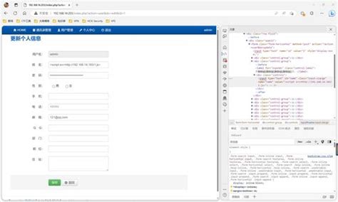 网页脚本注入执行任意代码——突破网页本地脚本验证方法实例 - 木头软件站