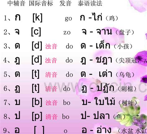 音标发音表怎么读,音标发音(第7页)_大山谷图库