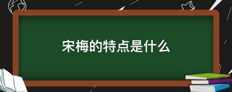 宋 梅 - 讲师1 - 河北工业大学人文与法律学院