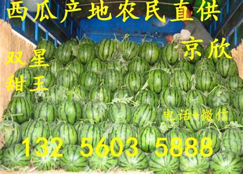 2021年广西西瓜价格行情预测 - 绿果网