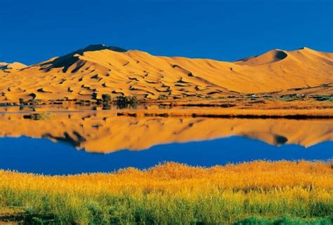 阿拉善盟属于哪个市 内蒙古阿拉善盟的市叫什么 - 天奇生活