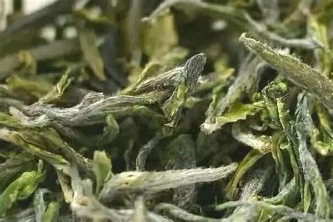 庐山云雾_碧梦 明前茶叶 绿茶 原产庐山云雾茶 嫩芽办公茶高山生态有机茶纸罐装138g 绿色_江西碧梦实业股份有限公司