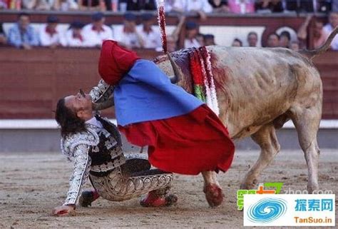 西班牙举行斗牛表演 斗牛士被公牛顶翻狼狈倒地