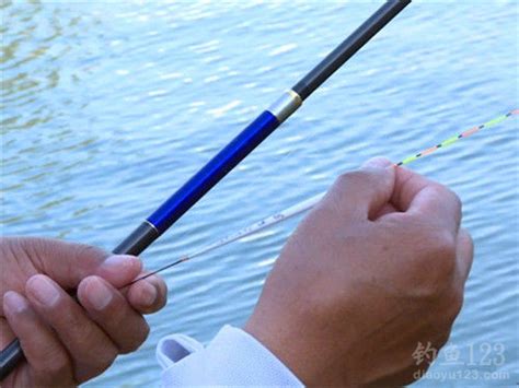 夏季水库钓鱼的经验和技巧（三）_钓鱼人必看
