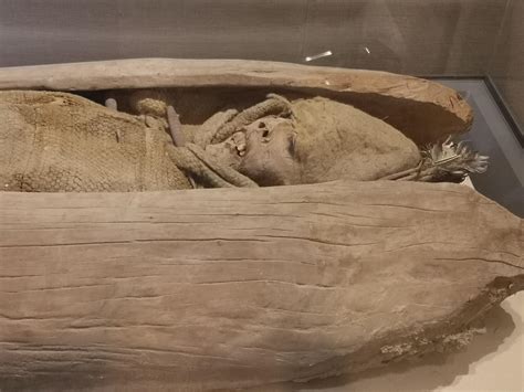 新疆巴州博物馆藏的古代干尸，年代在2500-4000年之间|新疆|干尸|巴州_新浪新闻