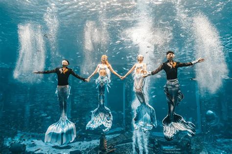 实拍威海威高海洋馆美人鱼表演，精美绝伦，如梦如幻，是我看过的最美的美人鱼_腾讯视频