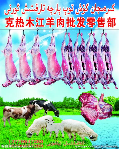 牧场养殖 - 百草滩羊-宁夏羊肉批发厂家,品牌加盟,多少钱一斤