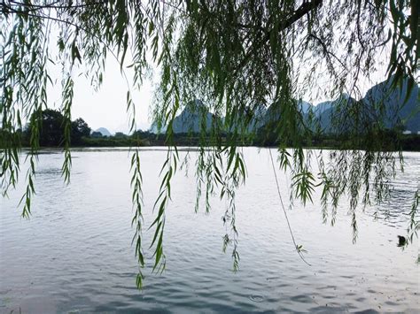 泸沽湖是一个美丽的梦，山清水秀、碧波荡漾，简直是色彩与微风的偏爱。尤其到了五月底，才到了它即将绽放的时刻。夏季、湖面经常会看见一朵朵像睡莲一样 ...