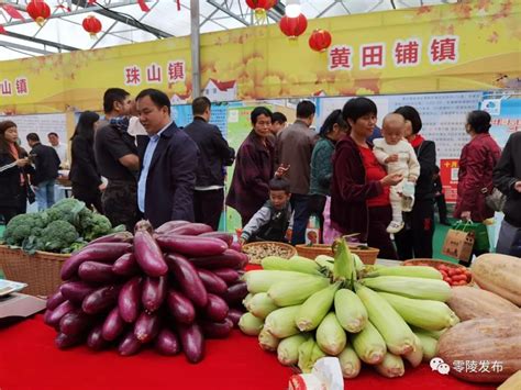 农民丰收节丨零陵区2020年“中国农民丰收节”庆祝活动开幕 - 永州 - 新湖南