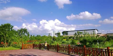 创建生态文明建设示范区，贵阳市白云区将实施绿色生产行动_手机新浪网