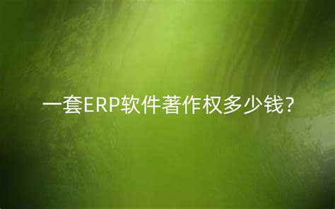 erp-软件著作权登记代理公司