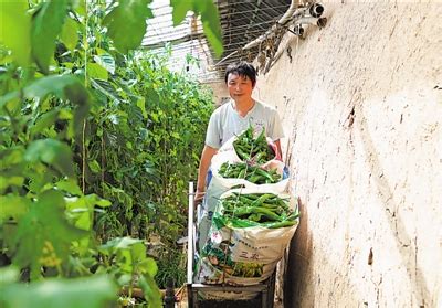 吴忠一小村庄对外销售蔬菜近30个品种-宁夏新闻网